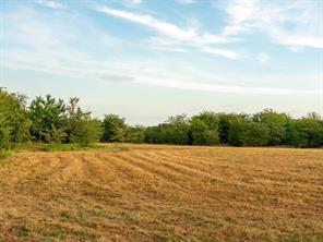 TBD county road 3660 COUNTY ROAD 3660 - Photo 11