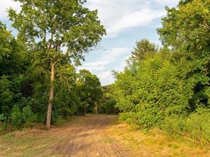TBD county road 3660 COUNTY ROAD 3660 - Photo 5