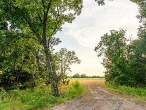 TBD county road 3660 COUNTY ROAD 3660 - Photo 6