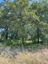 TBD W Hwy 380 - Photo 8