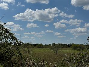 TBD2 County Road 1240 - Photo 2
