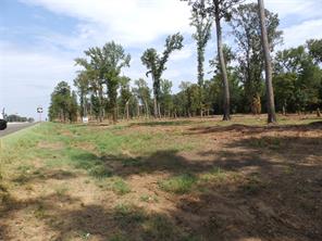 16393 W State Highway 31 - Photo 11