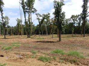 16393 W State Highway 31 - Photo 5