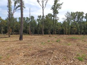 16393 W State Highway 31 - Photo 6