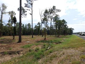 16393 W State Highway 31 - Photo 14