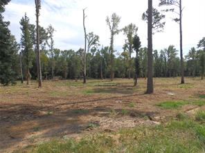 16393 W State Highway 31 - Photo 6