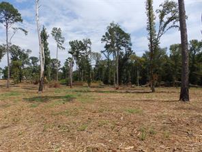 16393 W State Highway 31 - Photo 9