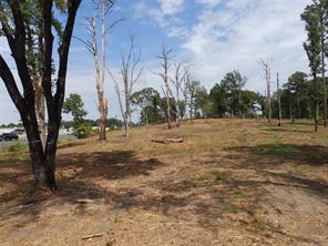 16393 W State Highway 31 - Photo 10