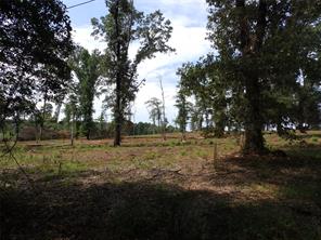 16393 W State Highway 31 - Photo 15