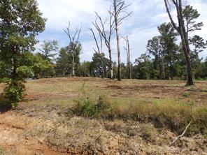 16393 W State Highway 31 - Photo 16