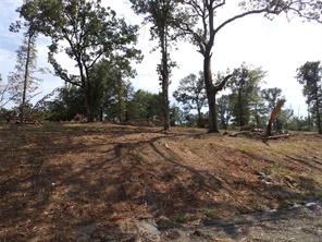 16393 W State Highway 31 - Photo 19