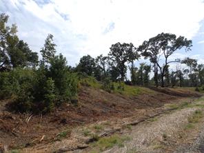 16393 W State Highway 31 - Photo 32