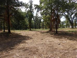 16393 W State Highway 31 - Photo 7