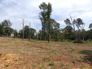 16393 W State Highway 31 - Photo 9