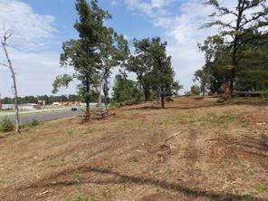 16393 W State Highway 31 - Photo 10
