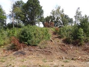 16393 W State Highway 31 - Photo 11
