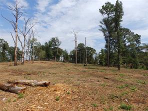 16393 W State Highway 31 - Photo 14