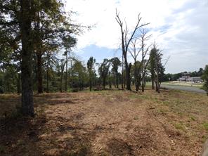16393 W State Highway 31 - Photo 10