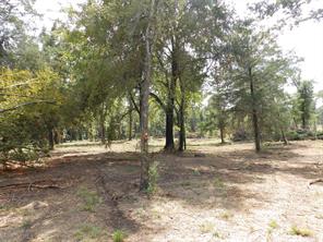 16393 W State Highway 31 - Photo 14