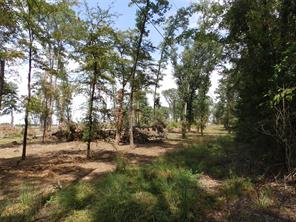 16393 W State Highway 31 - Photo 17