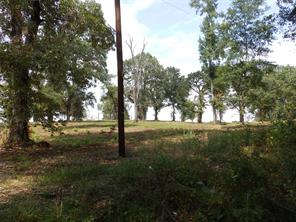 16393 W State Highway 31 - Photo 6