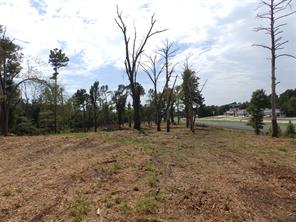 16393 W State Highway 31 - Photo 9