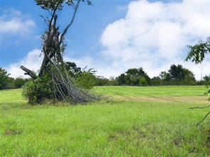 Lot 131 Lake Vista Drive - Photo 10