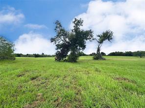 Lot 131 Lake Vista Drive - Photo 17