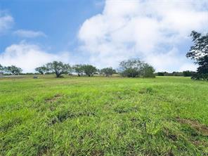Lot 131 Lake Vista Drive - Photo 21