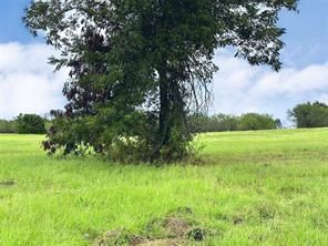 Lot 131 Lake Vista Drive - Photo 28