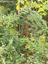TBD Myrtle Drive - Photo 14