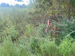 TBD Myrtle Drive - Photo 6