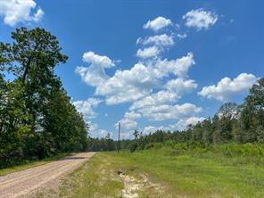 0007 Purvis Boulevard - Photo 2