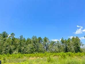 0007 Purvis Boulevard - Photo 4