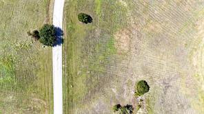 7429 Retreat Boulevard - Photo 3