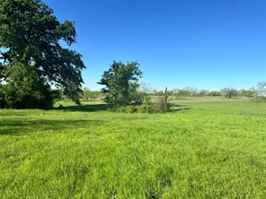 Lot 81 Moonlight Bay Court - Photo 10