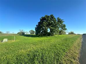 Lot 81 Moonlight Bay Court - Photo 12