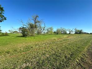 Lot 81 Moonlight Bay Court - Photo 17