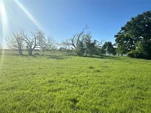 Lot 81 Moonlight Bay Court - Photo 26