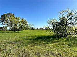 Lot 81 Moonlight Bay Court - Photo 35
