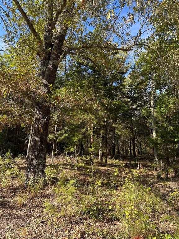 234 Private Road 34615 - Photo 1