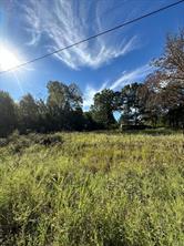 234 Private Road 34615 - Photo 2