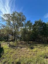 234 Private Road 34615 - Photo 5