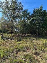 234 Private Road 34615 - Photo 6