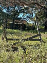 234 Private Road 34615 - Photo 7