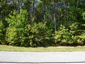 TBD Annadale Lane - Photo 4