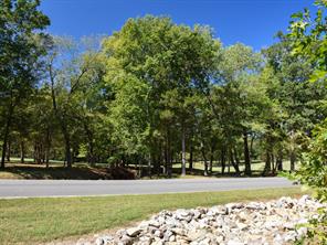 TBD Annadale Lane - Photo 6