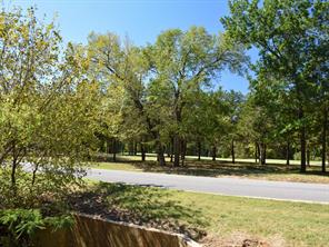 TBD Annadale Lane - Photo 7