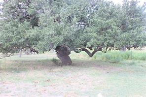 191 County Road 358 - Photo 4
