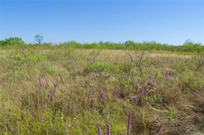 TBD HWY 81 - Photo 10